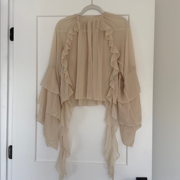 Elegant Ruffled Sheer Blouse - Picture 1 of 2